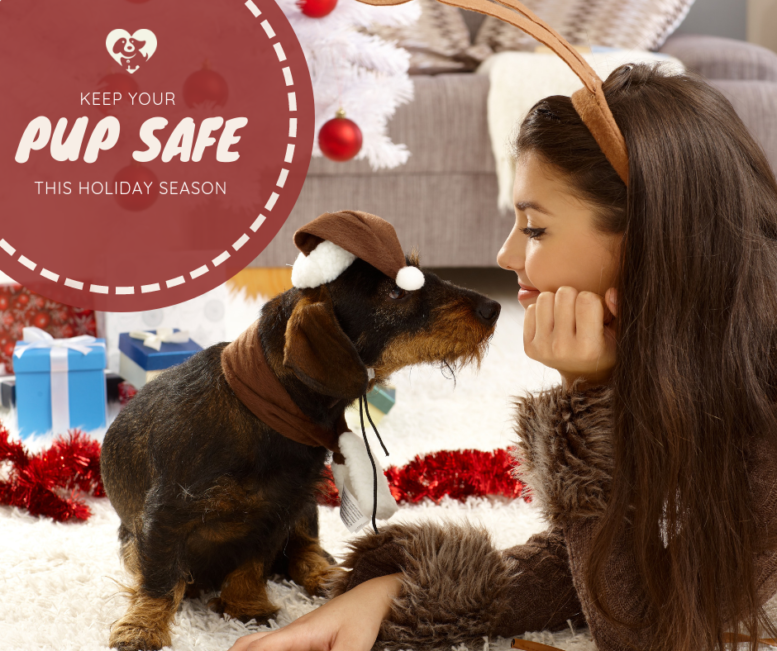 Pet Safety Tips This Holiday Season | We Heart Hounds