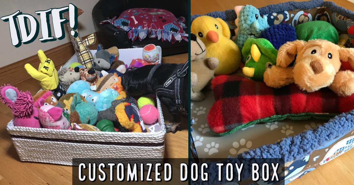 DIY Busy Box: An Easy-To-Make Enrichment Dog Toy - Proud Dog Mom