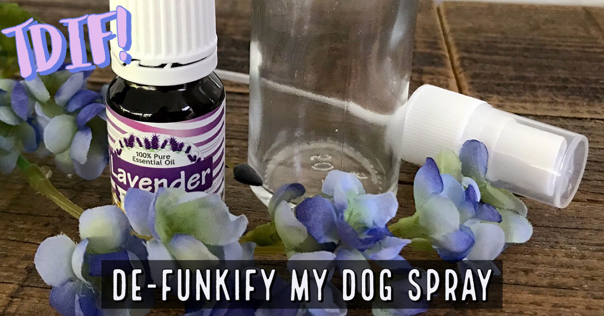 Diy dog outlet cologne