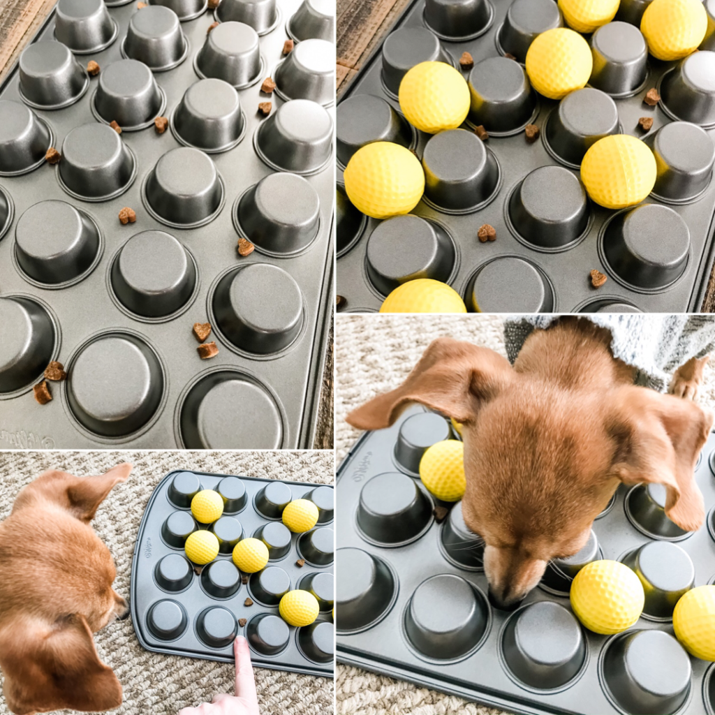 Easy Dog Enrichment DIY Using A Muffin Tin - Dogs Don't Wear Pants