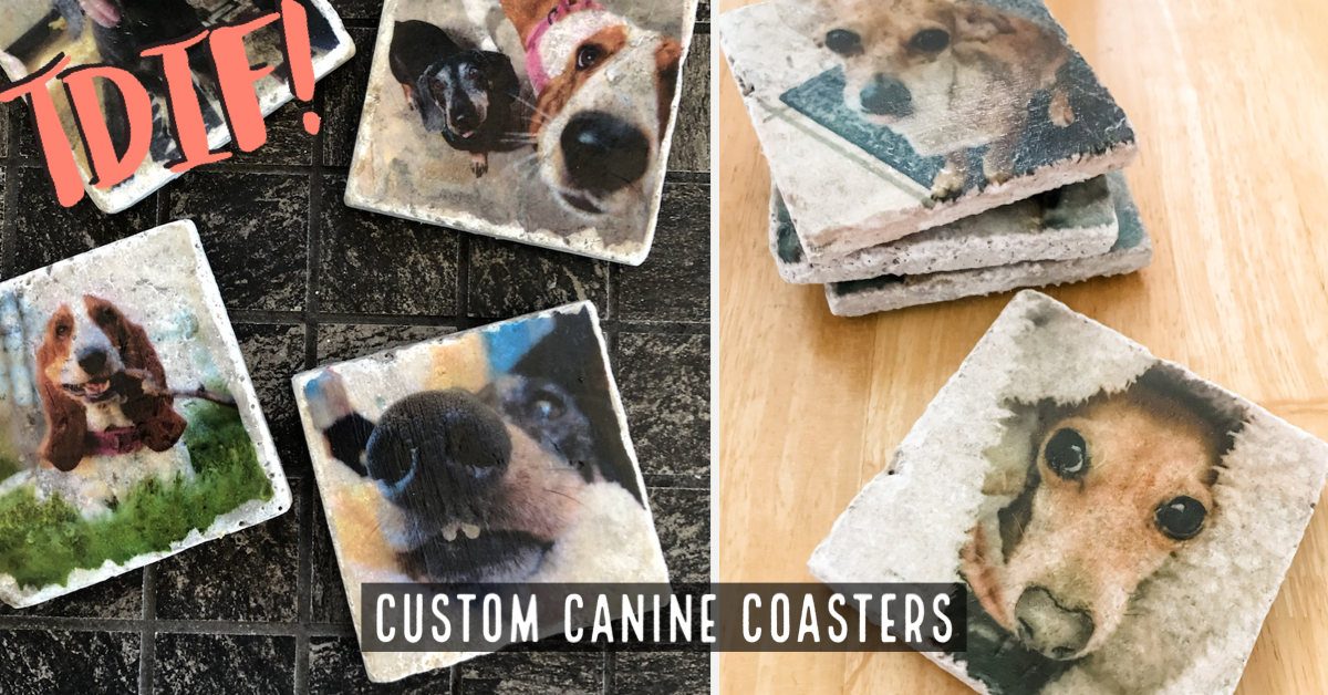 Dog coasters clearance