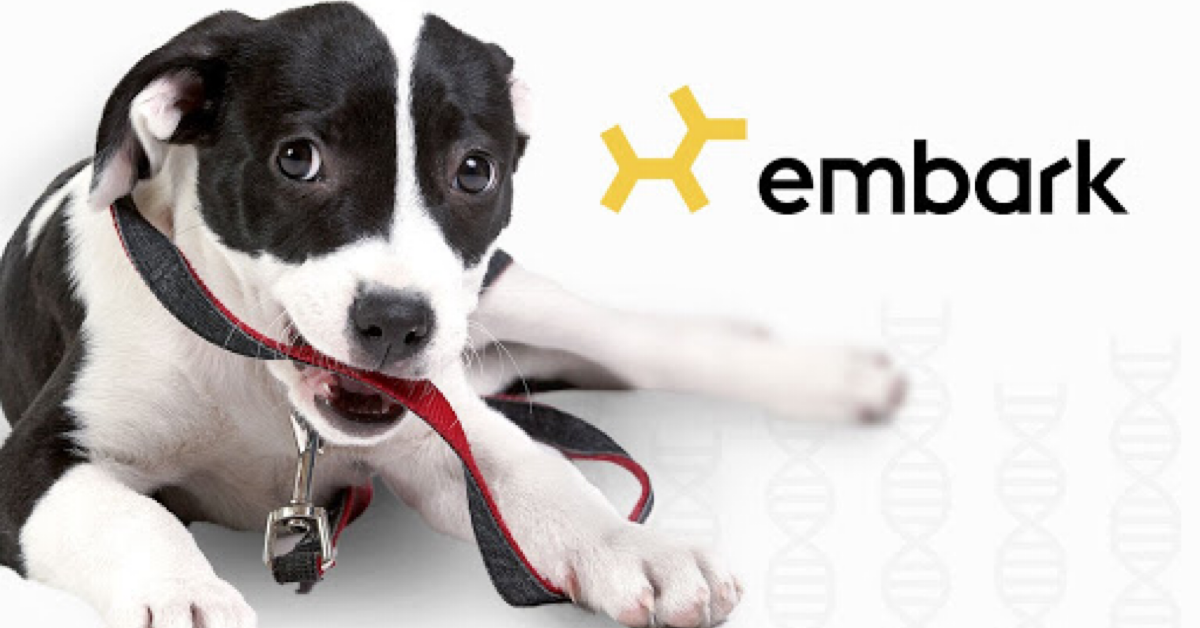 Embark dog outlet tag