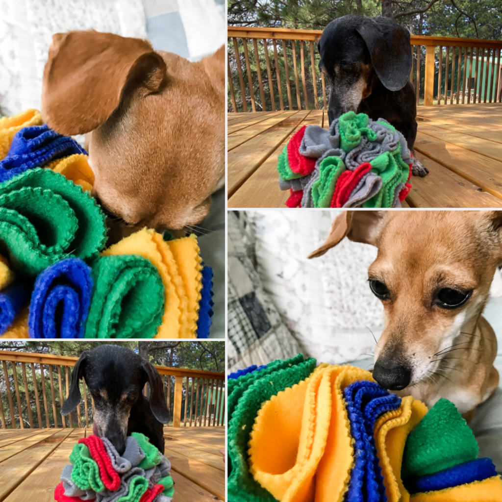 DIY Snuffle Ball Dog Toy
