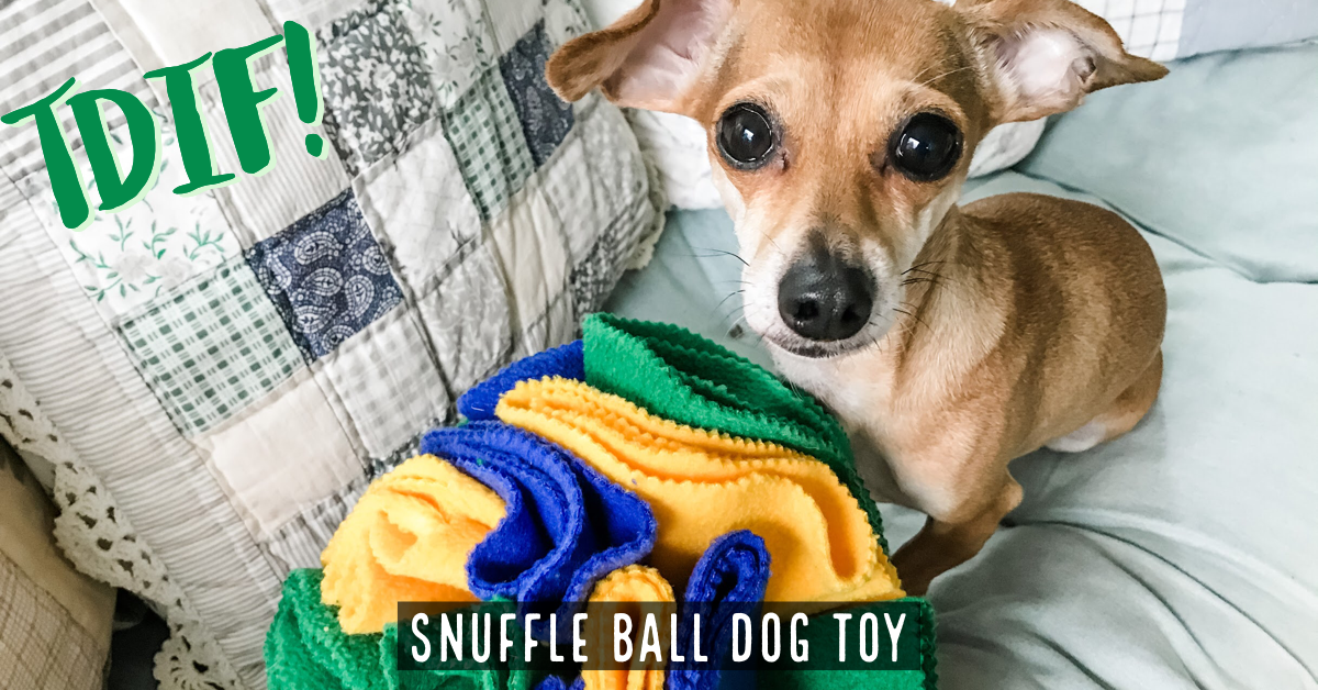 DIY Snuffle Ball Dog Toy