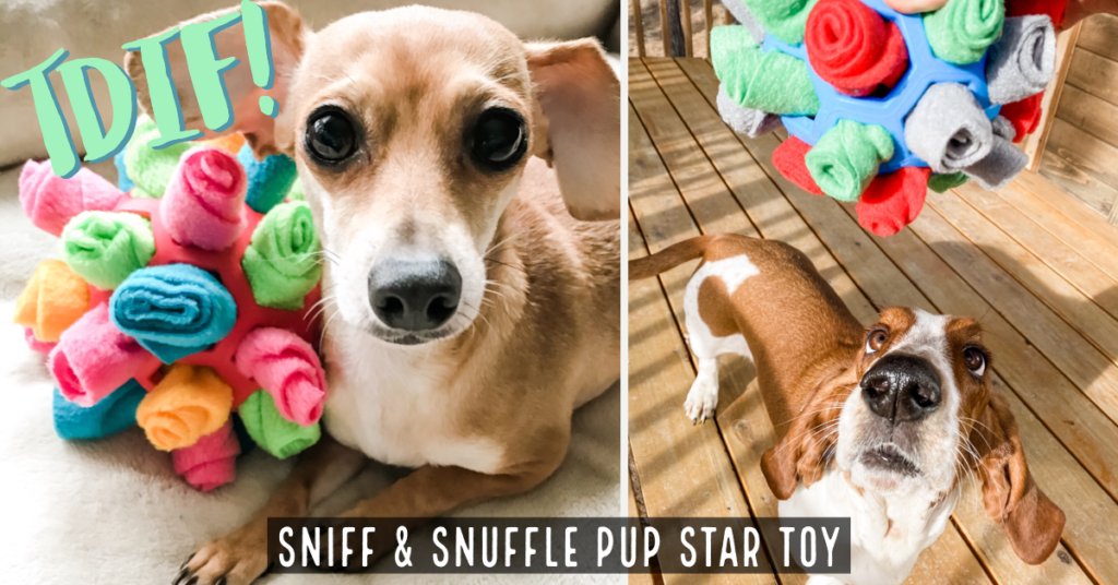 DIY Sniff & Snuffle Pup Star