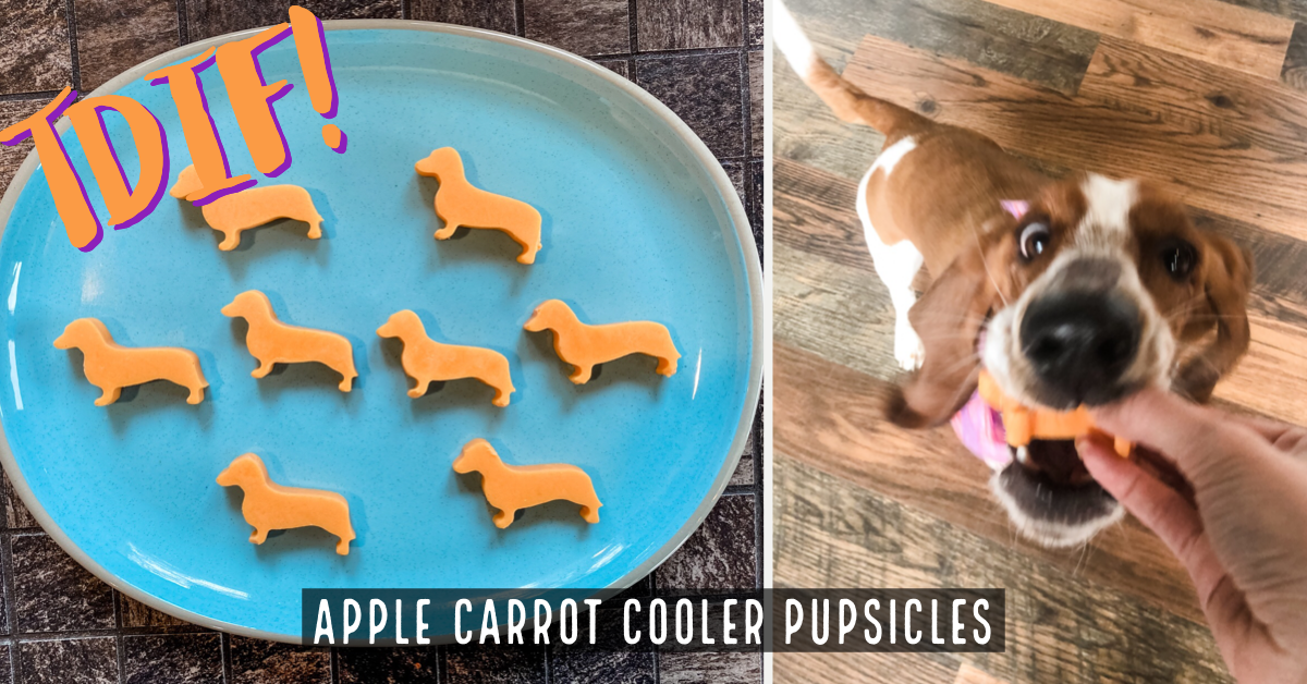 Recipe for a Carrot Apple Dog Popsicle - Pet With It