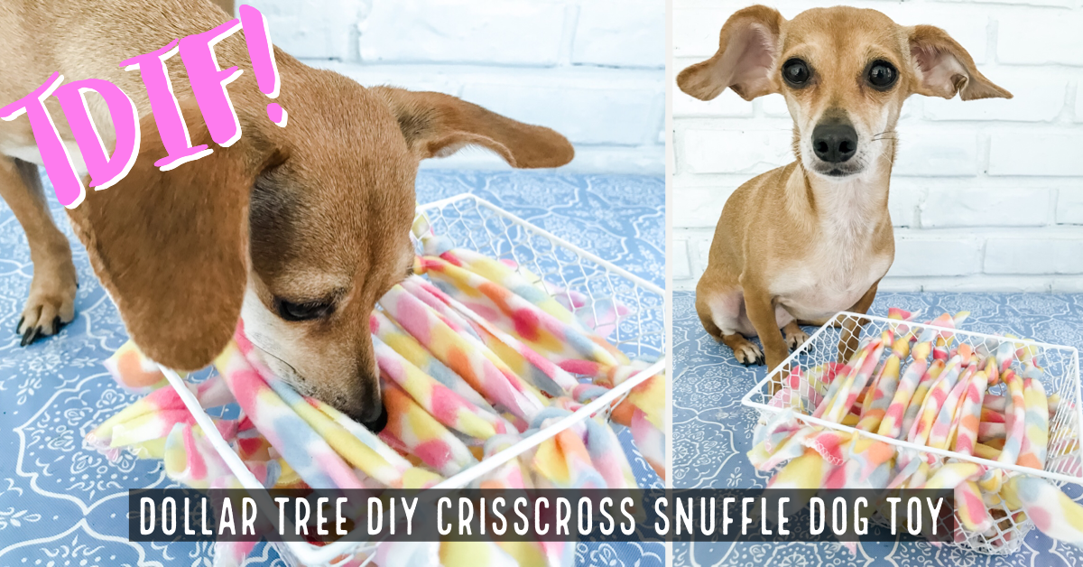 Dollar Tree DIY Crisscross Snuffle Dog Toy