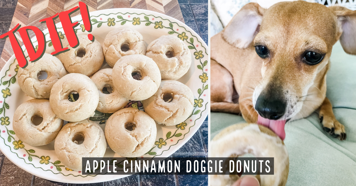 can dogs have cinnamon donuts