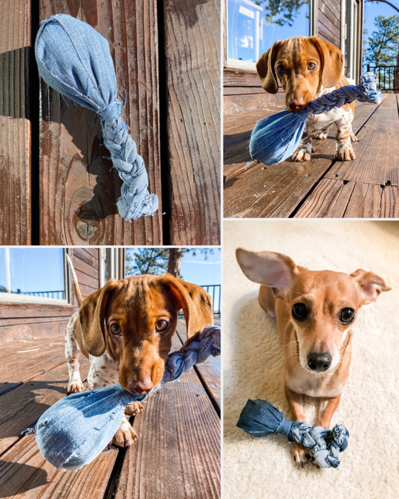 DIY Denim Turkey Leg Dog Toy