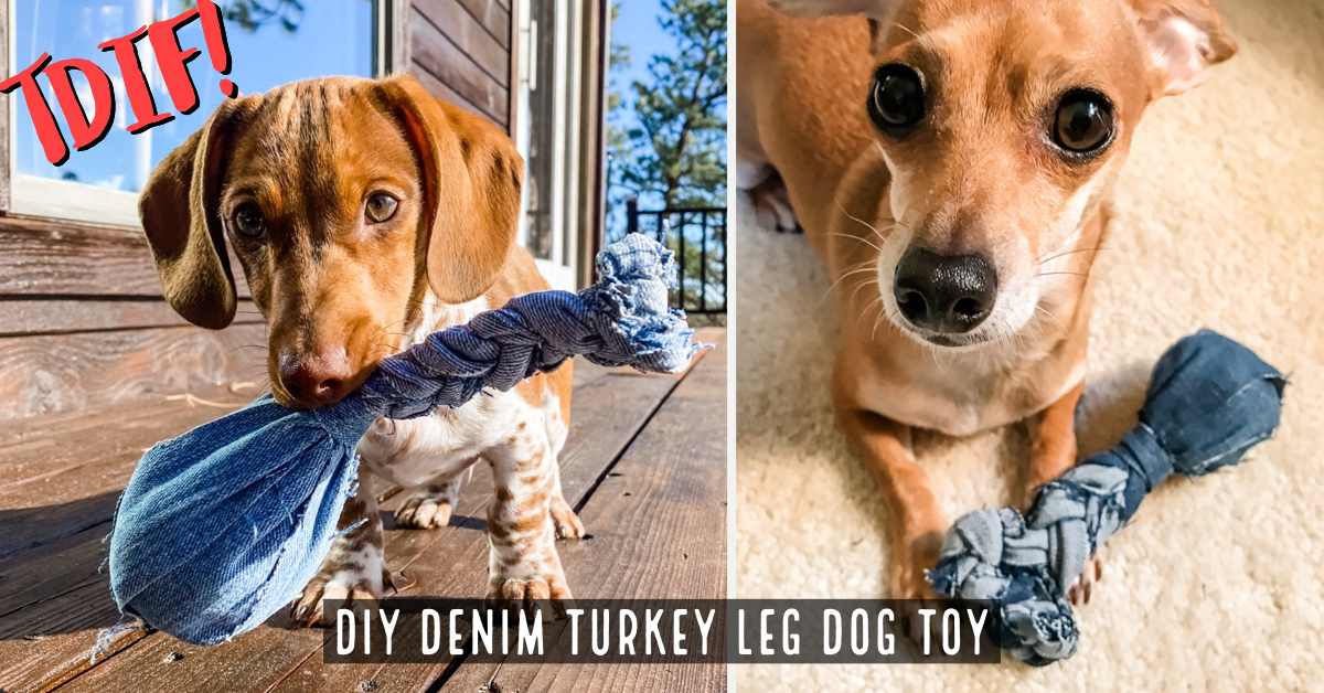 DIY Slinky Dog Snuffle Toy 