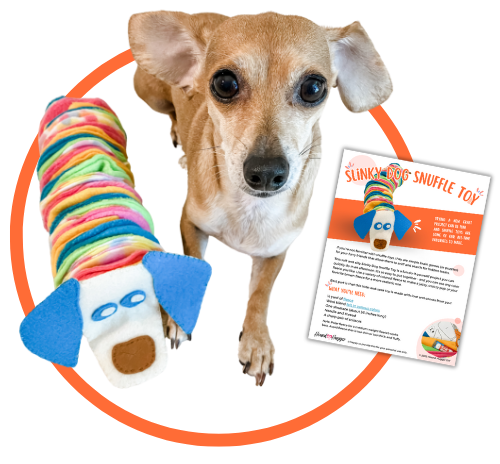 6 super simple DIY dog toys to keep your hound happy - RSPCA South Australia