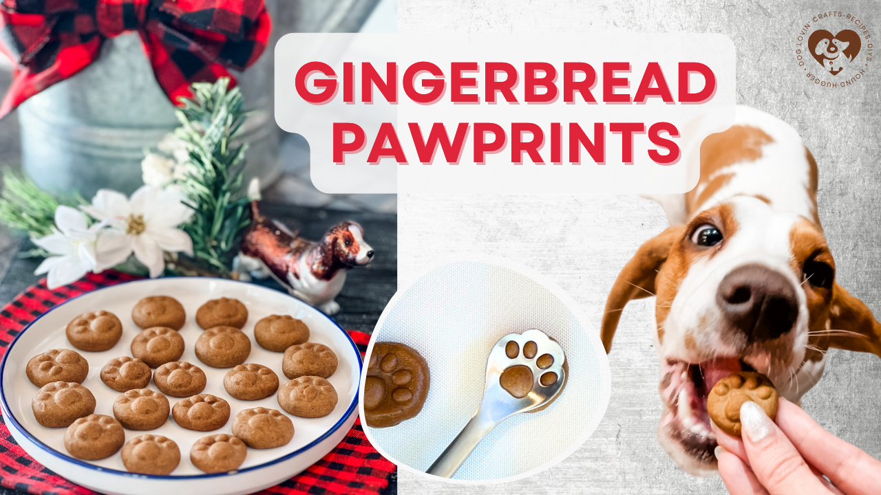 Gingerbread Pawprint Dog Treats